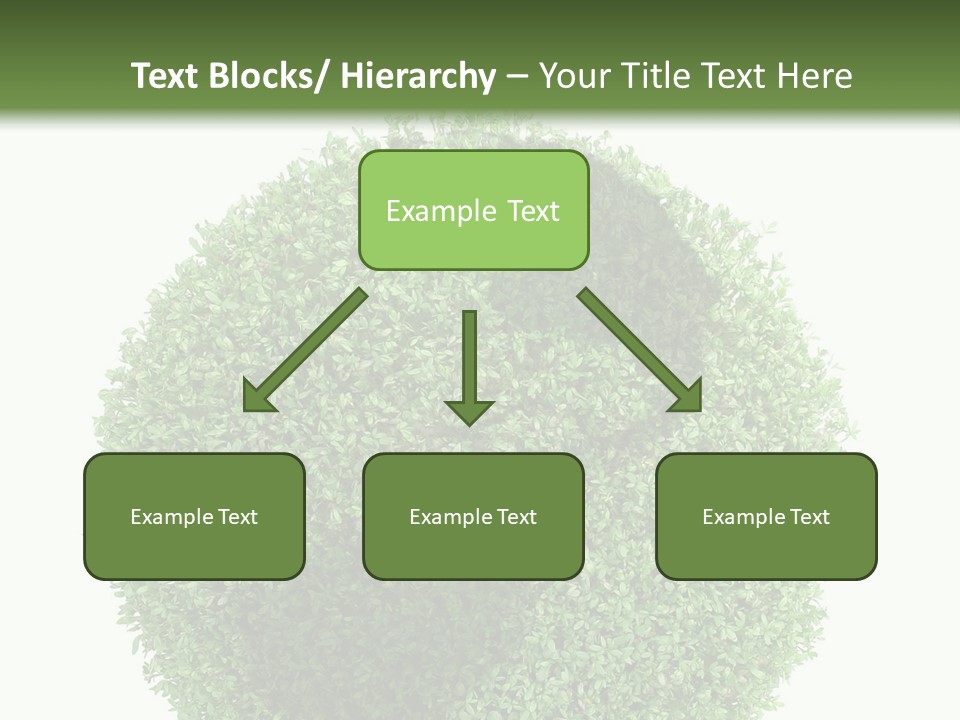 Green Plant Globe With North And South America Over White Background PowerPoint Template