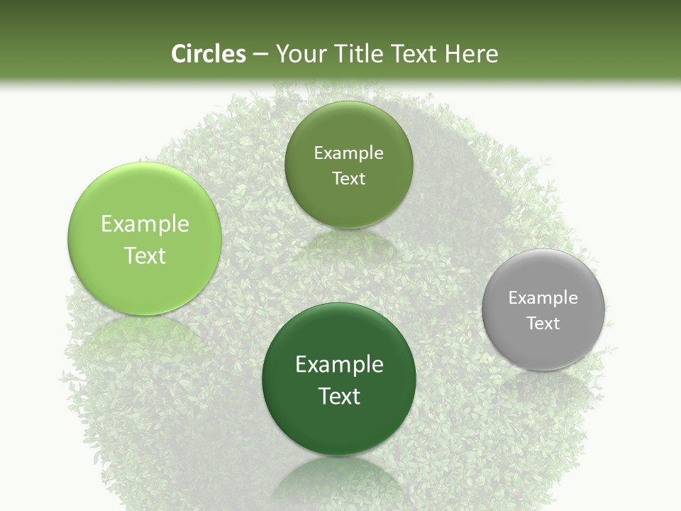 Green Plant Globe With North And South America Over White Background PowerPoint Template