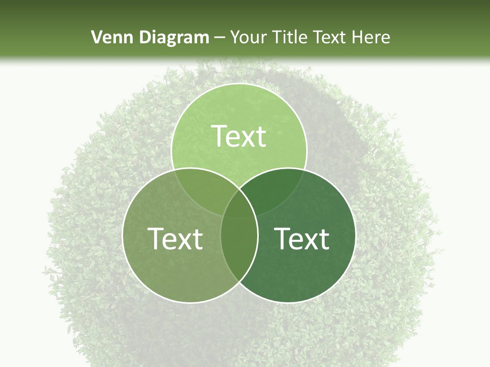 Green Plant Globe With North And South America Over White Background PowerPoint Template