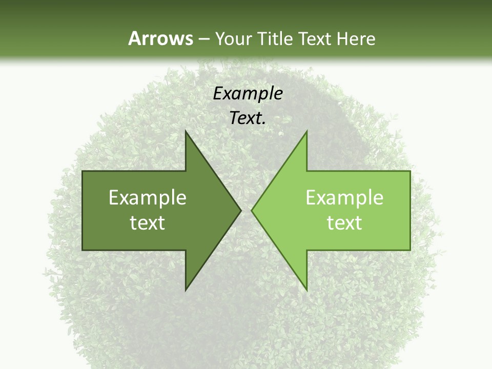 Green Plant Globe With North And South America Over White Background PowerPoint Template
