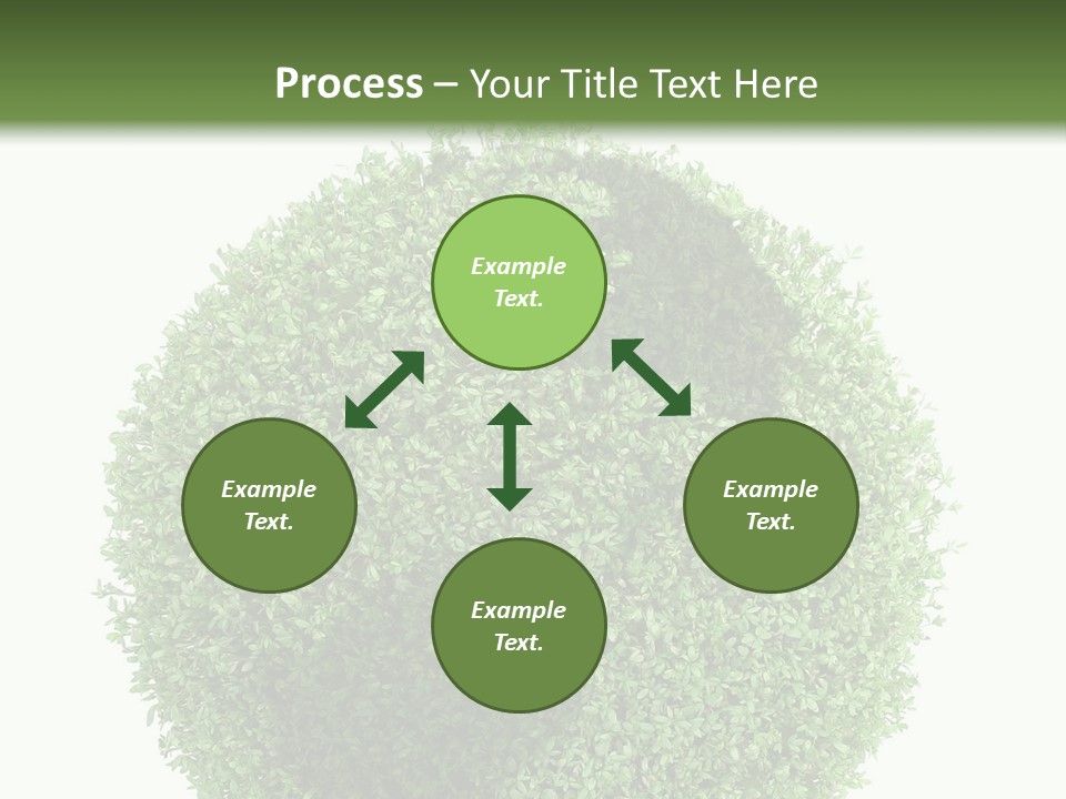 Green Plant Globe With North And South America Over White Background PowerPoint Template