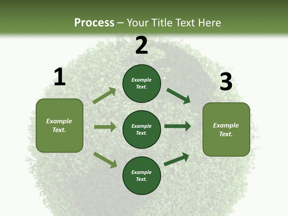 Green Plant Globe With North And South America Over White Background PowerPoint Template