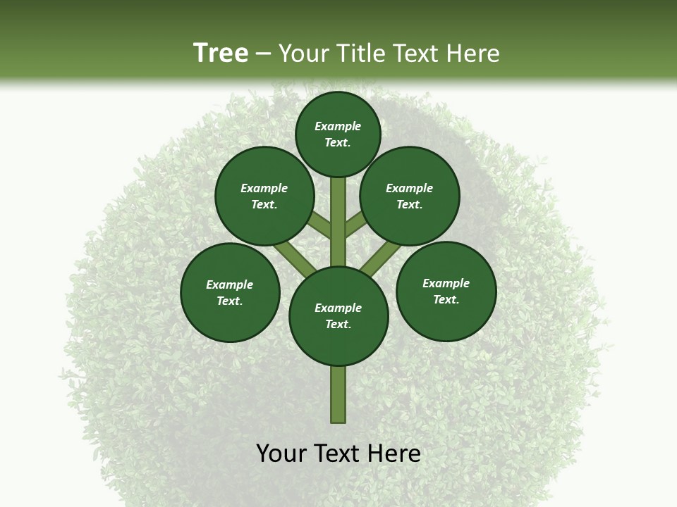 Green Plant Globe With North And South America Over White Background PowerPoint Template