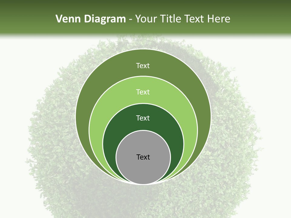Green Plant Globe With North And South America Over White Background PowerPoint Template