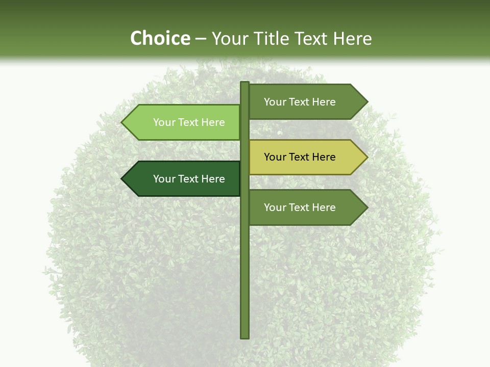 Green Plant Globe With North And South America Over White Background PowerPoint Template