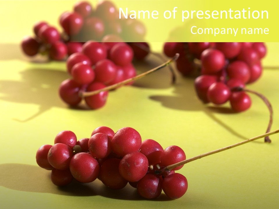 Macro View Of Ripe Schizandra Berry On The Yellow Background PowerPoint Template