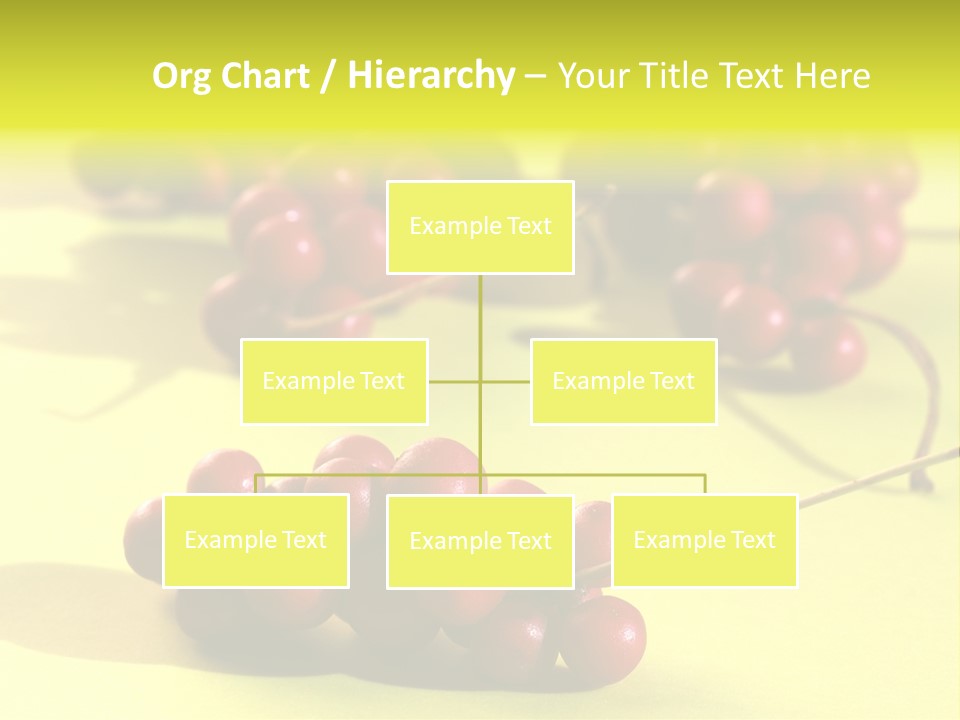 Macro View Of Ripe Schizandra Berry On The Yellow Background PowerPoint Template