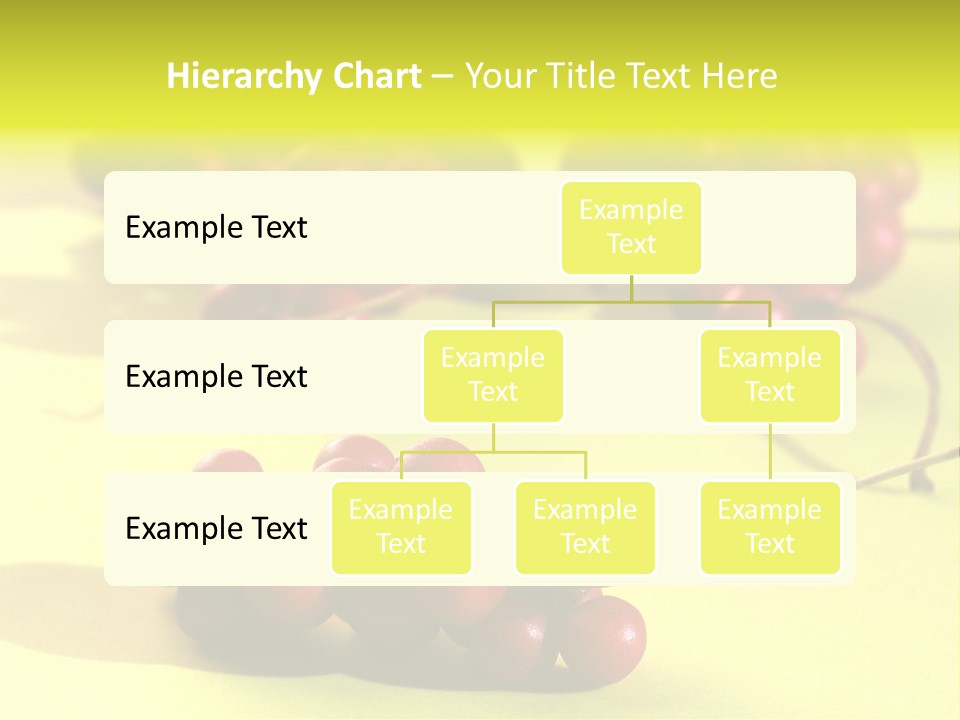 Macro View Of Ripe Schizandra Berry On The Yellow Background PowerPoint Template