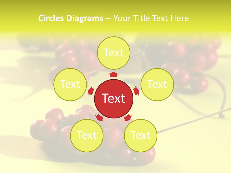 Macro View Of Ripe Schizandra Berry On The Yellow Background PowerPoint Template
