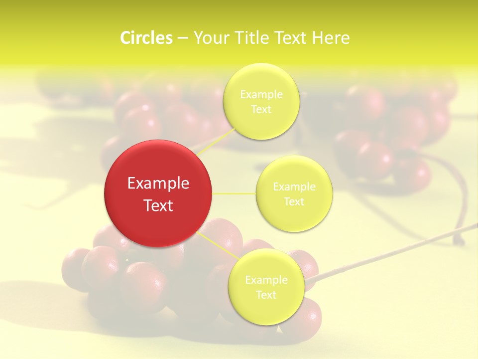 Macro View Of Ripe Schizandra Berry On The Yellow Background PowerPoint Template