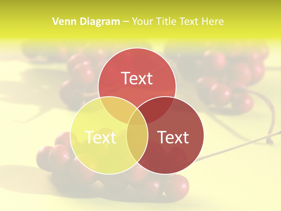 Macro View Of Ripe Schizandra Berry On The Yellow Background PowerPoint Template