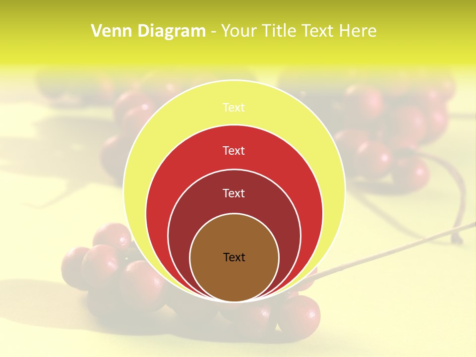 Macro View Of Ripe Schizandra Berry On The Yellow Background PowerPoint Template