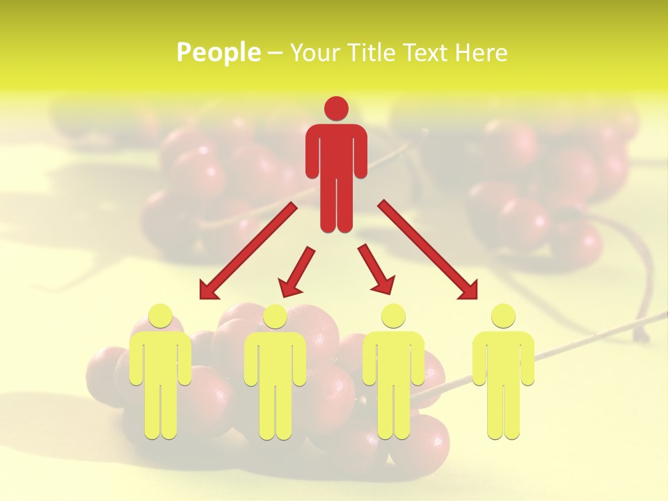 Macro View Of Ripe Schizandra Berry On The Yellow Background PowerPoint Template