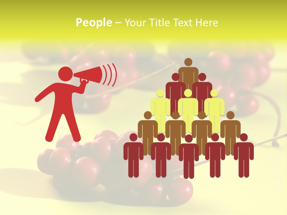 Macro View Of Ripe Schizandra Berry On The Yellow Background PowerPoint Template