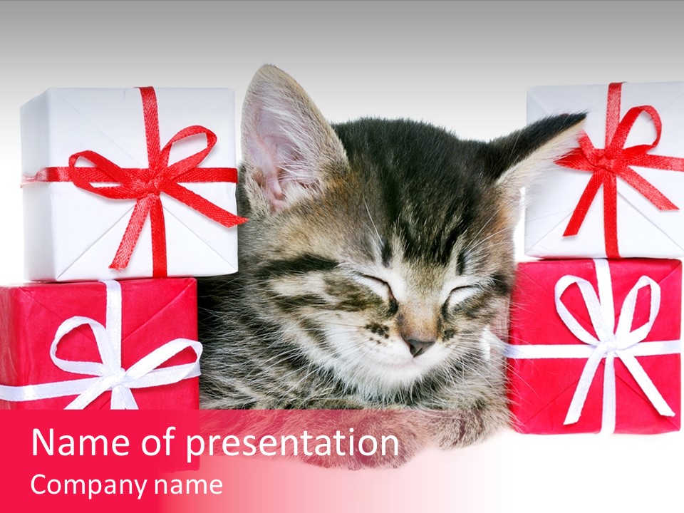 A Kitten Sleeping Next To A Pile Of Wrapped Presents PowerPoint Template