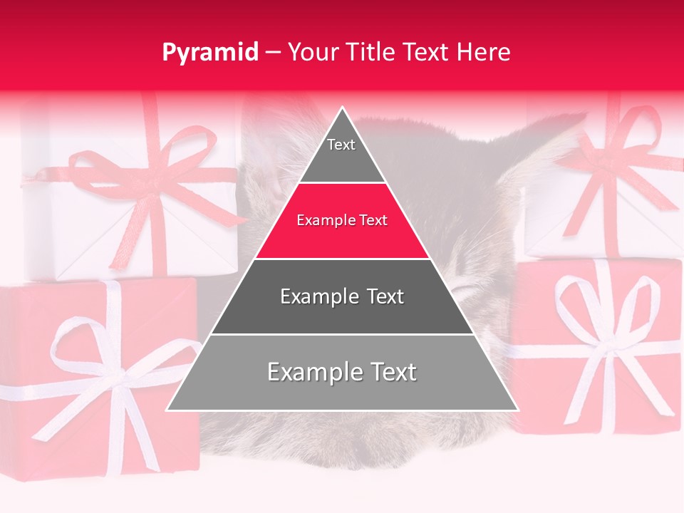 A Kitten Sleeping Next To A Pile Of Wrapped Presents PowerPoint Template