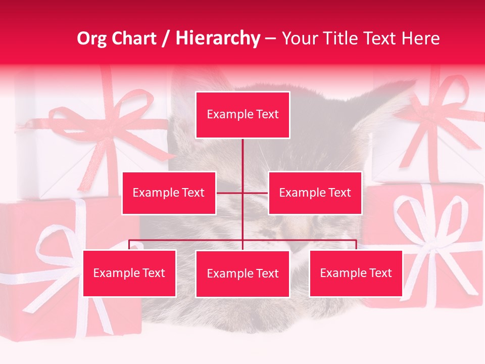 A Kitten Sleeping Next To A Pile Of Wrapped Presents PowerPoint Template