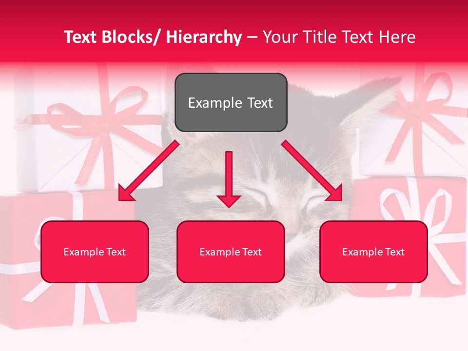 A Kitten Sleeping Next To A Pile Of Wrapped Presents PowerPoint Template