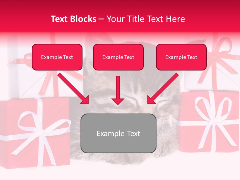 A Kitten Sleeping Next To A Pile Of Wrapped Presents PowerPoint Template