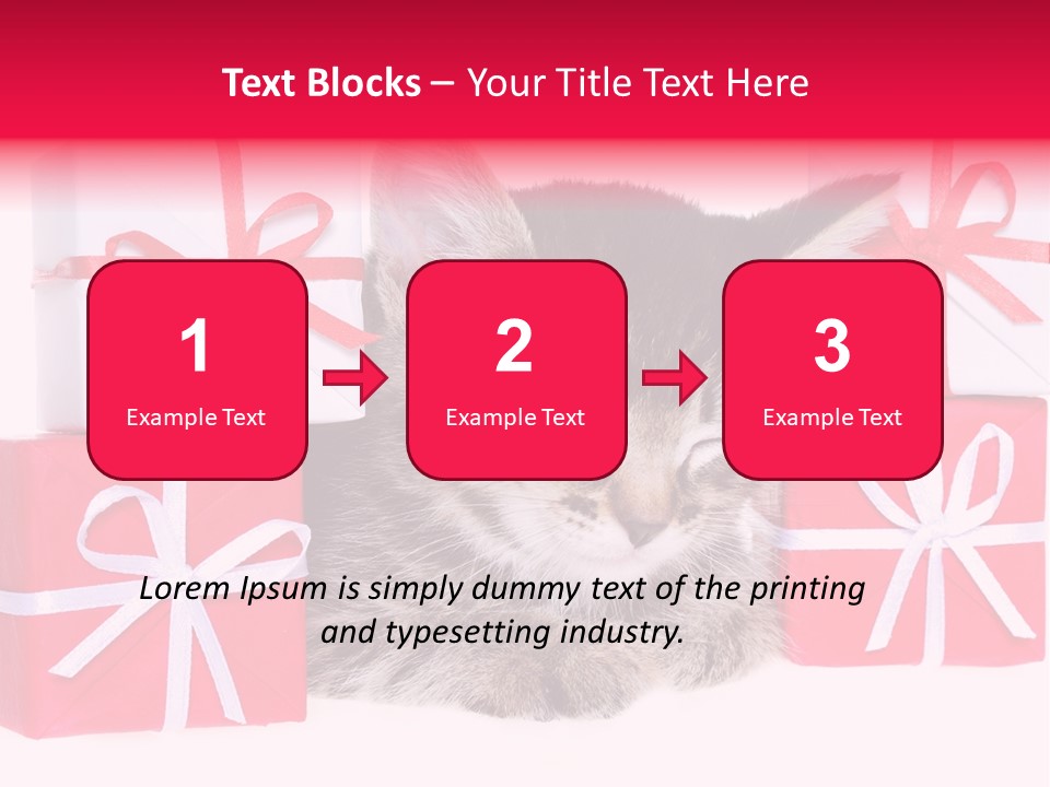 A Kitten Sleeping Next To A Pile Of Wrapped Presents PowerPoint Template