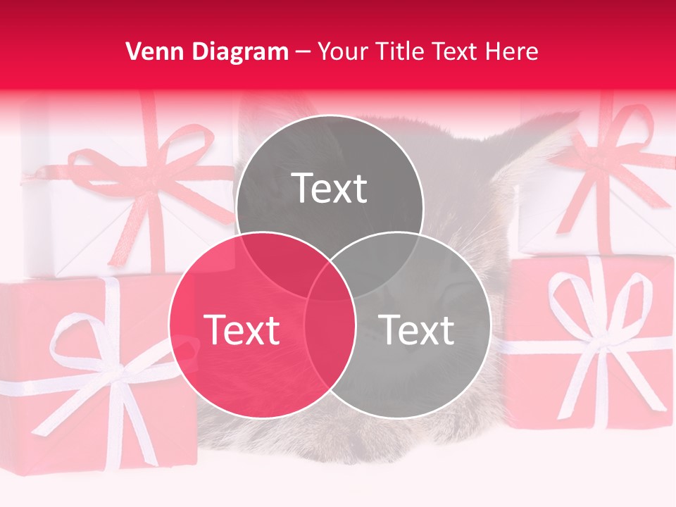 A Kitten Sleeping Next To A Pile Of Wrapped Presents PowerPoint Template