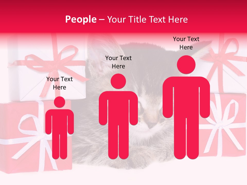 A Kitten Sleeping Next To A Pile Of Wrapped Presents PowerPoint Template