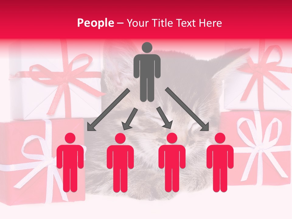 A Kitten Sleeping Next To A Pile Of Wrapped Presents PowerPoint Template