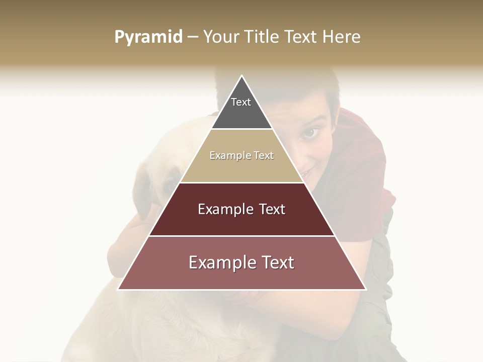 Boy And Dog, Isolated On White PowerPoint Template