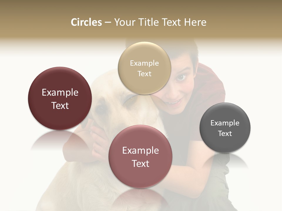 Boy And Dog, Isolated On White PowerPoint Template