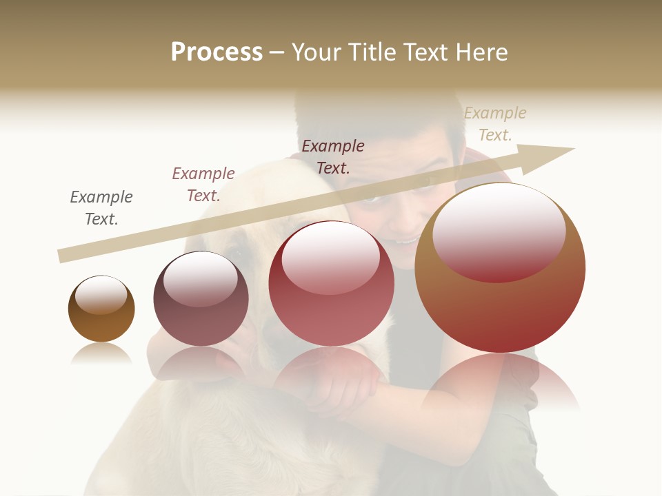 Boy And Dog, Isolated On White PowerPoint Template