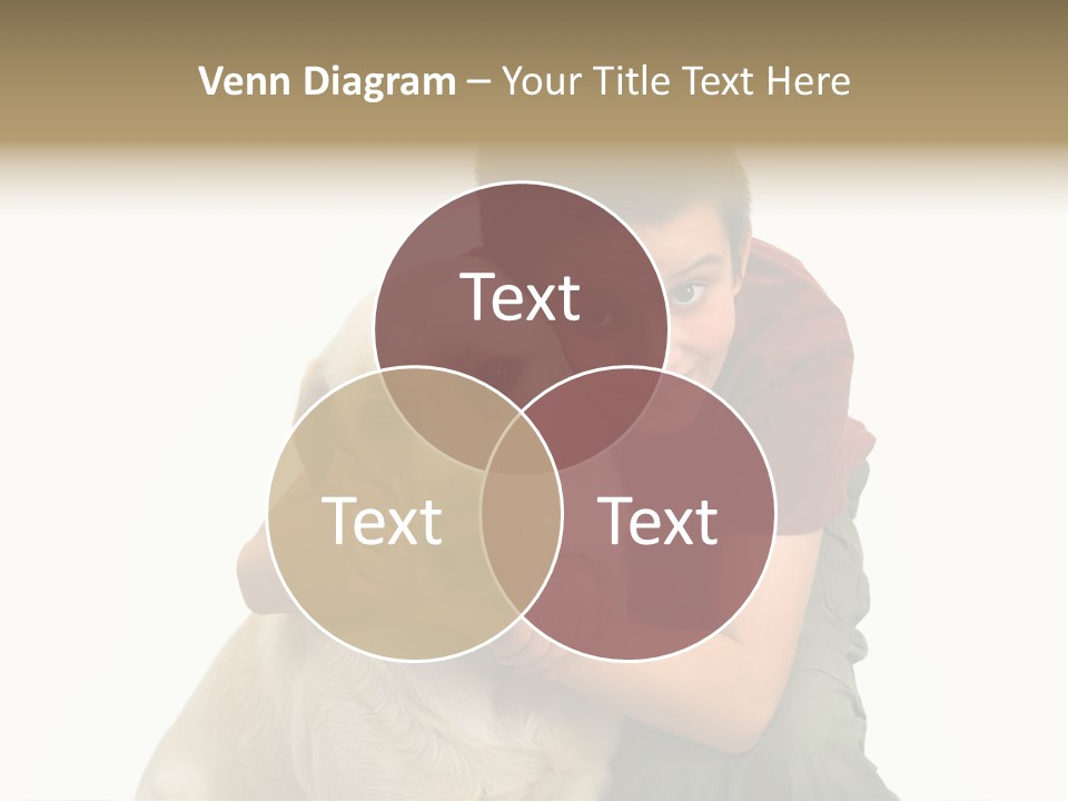 Boy And Dog, Isolated On White PowerPoint Template