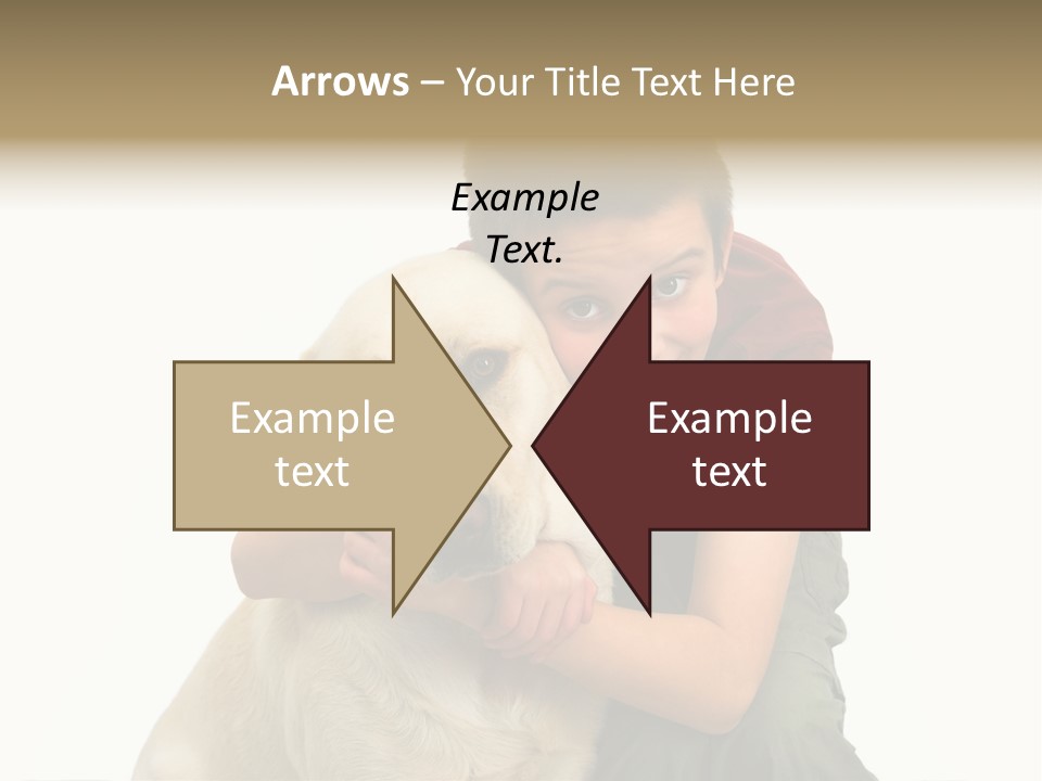 Boy And Dog, Isolated On White PowerPoint Template