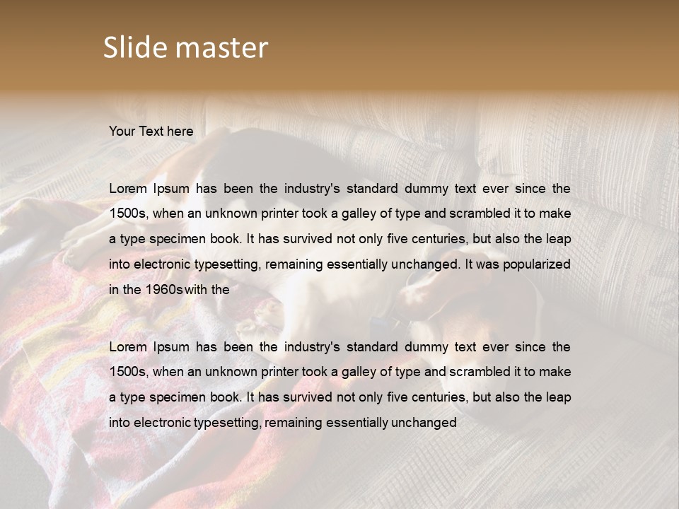 This Naughty Beagle Snuck Onto The Couch And Is Taking A Nap. PowerPoint Template