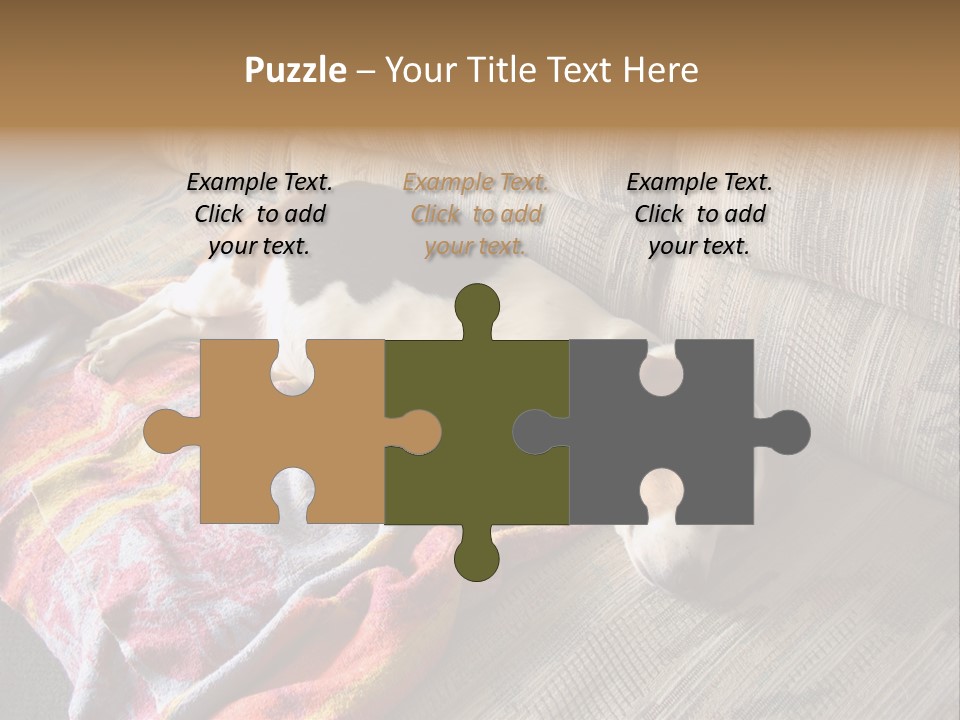 This Naughty Beagle Snuck Onto The Couch And Is Taking A Nap. PowerPoint Template