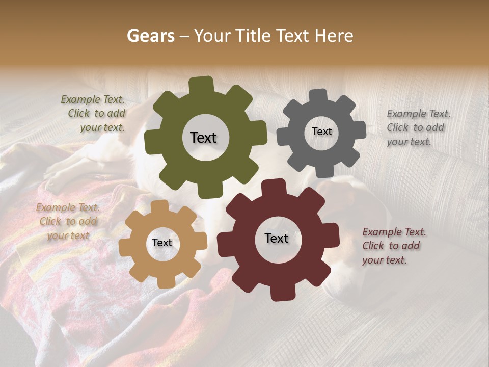 This Naughty Beagle Snuck Onto The Couch And Is Taking A Nap. PowerPoint Template