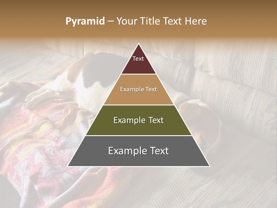 This Naughty Beagle Snuck Onto The Couch And Is Taking A Nap. PowerPoint Template