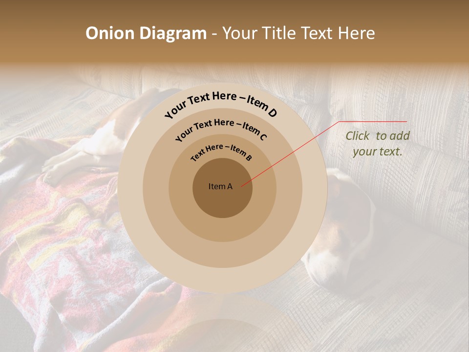 This Naughty Beagle Snuck Onto The Couch And Is Taking A Nap. PowerPoint Template