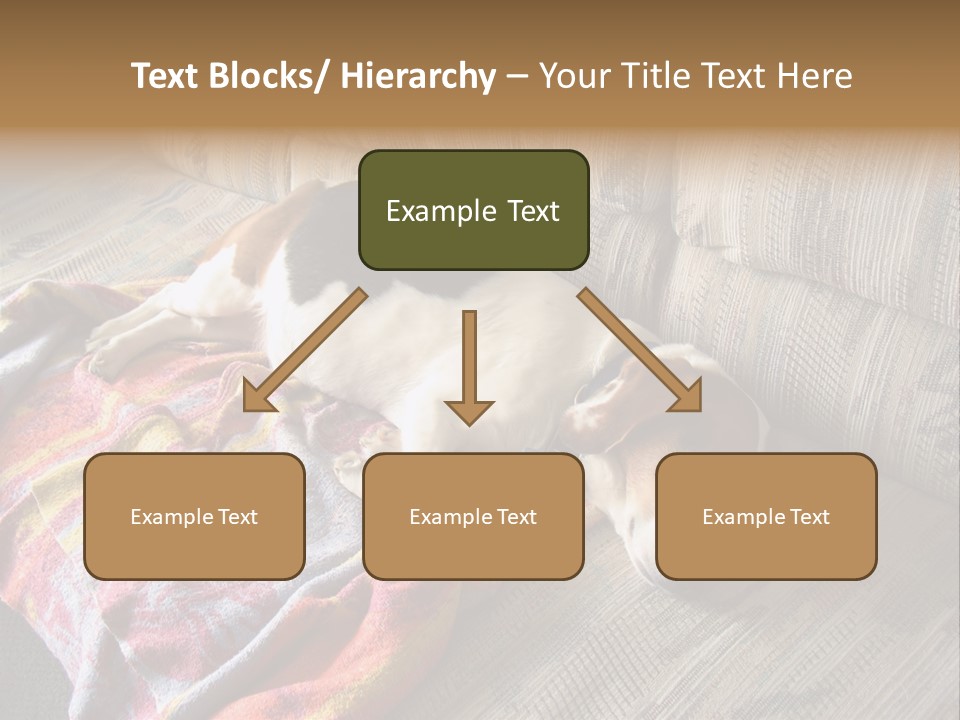 This Naughty Beagle Snuck Onto The Couch And Is Taking A Nap. PowerPoint Template