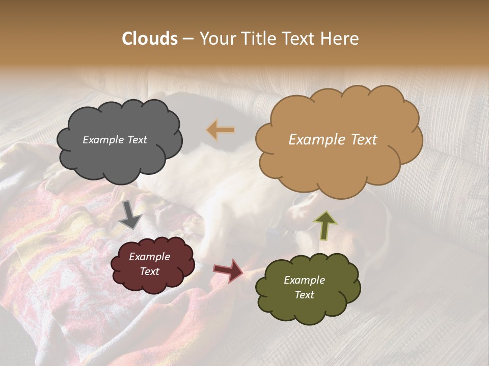 This Naughty Beagle Snuck Onto The Couch And Is Taking A Nap. PowerPoint Template
