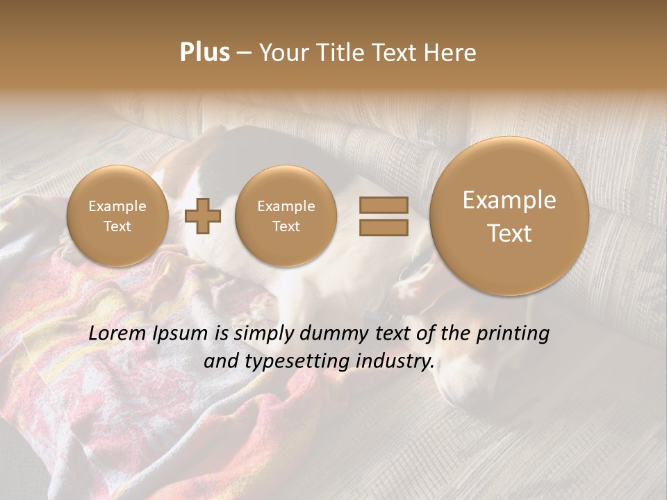 This Naughty Beagle Snuck Onto The Couch And Is Taking A Nap. PowerPoint Template