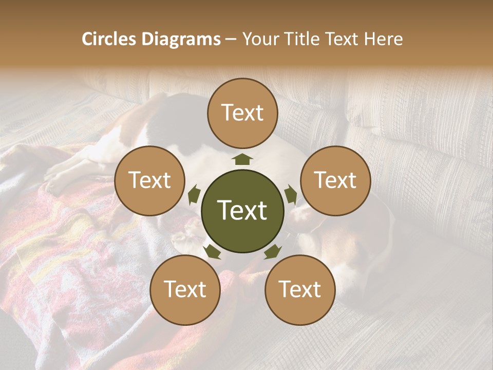 This Naughty Beagle Snuck Onto The Couch And Is Taking A Nap. PowerPoint Template