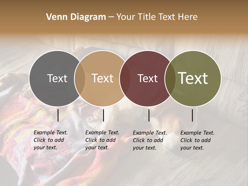 This Naughty Beagle Snuck Onto The Couch And Is Taking A Nap. PowerPoint Template