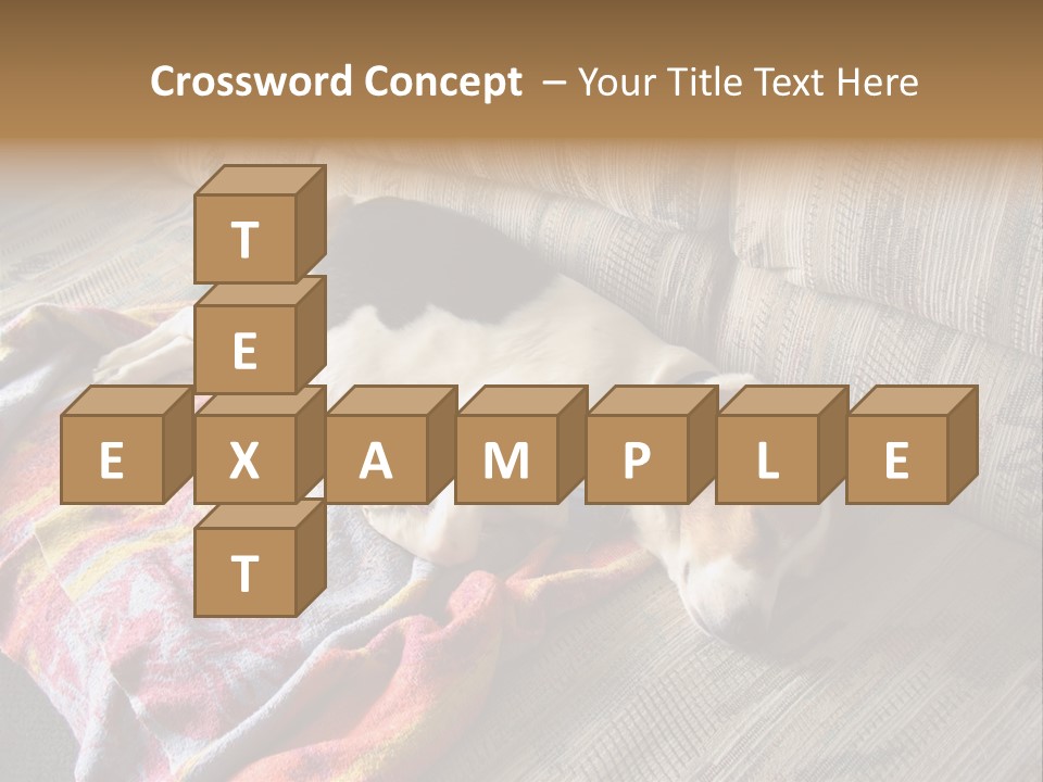 This Naughty Beagle Snuck Onto The Couch And Is Taking A Nap. PowerPoint Template