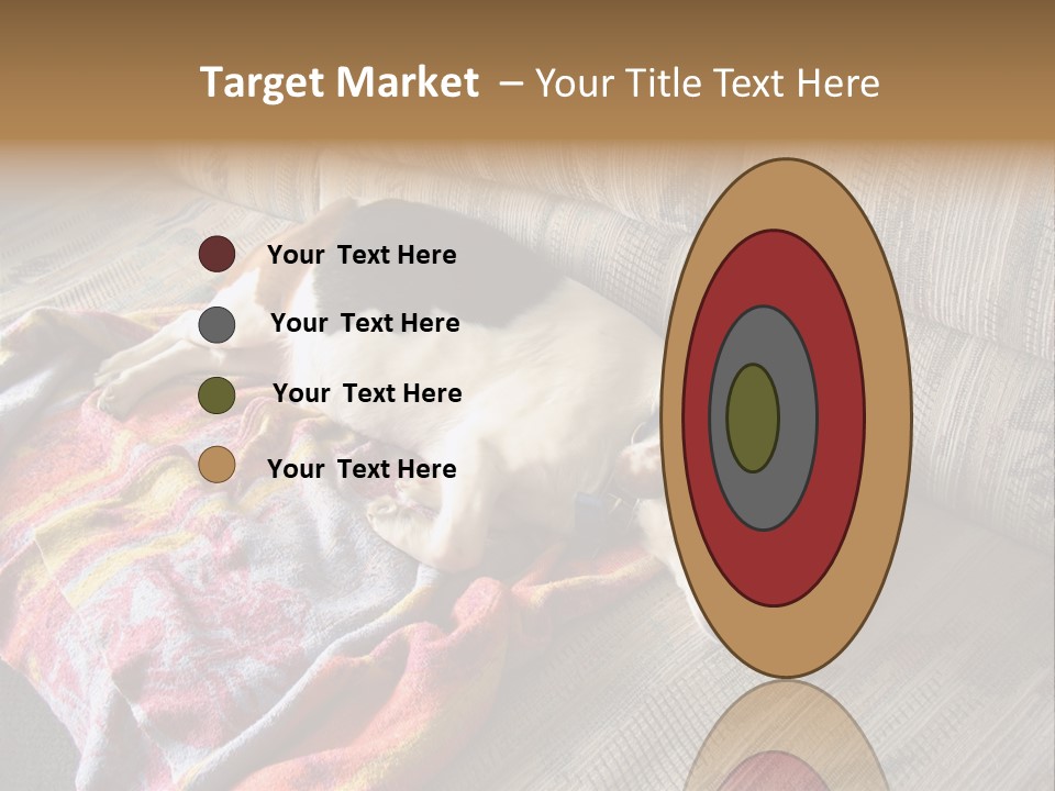 This Naughty Beagle Snuck Onto The Couch And Is Taking A Nap. PowerPoint Template