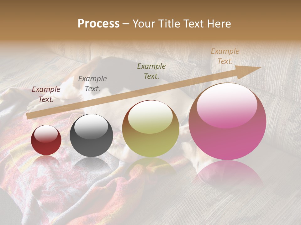 This Naughty Beagle Snuck Onto The Couch And Is Taking A Nap. PowerPoint Template