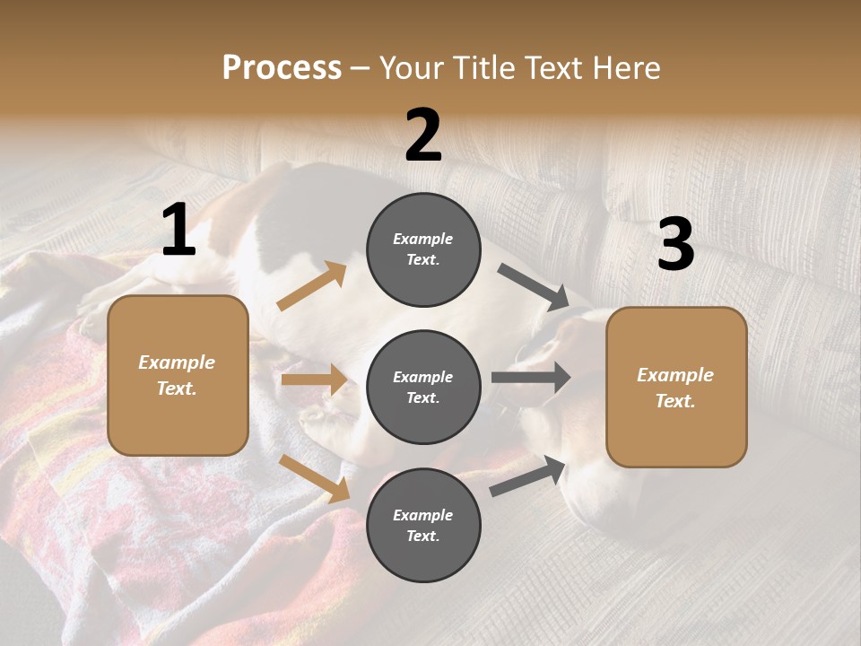 This Naughty Beagle Snuck Onto The Couch And Is Taking A Nap. PowerPoint Template