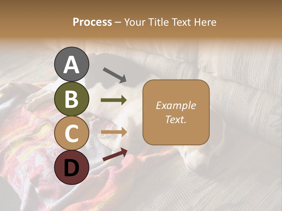 This Naughty Beagle Snuck Onto The Couch And Is Taking A Nap. PowerPoint Template