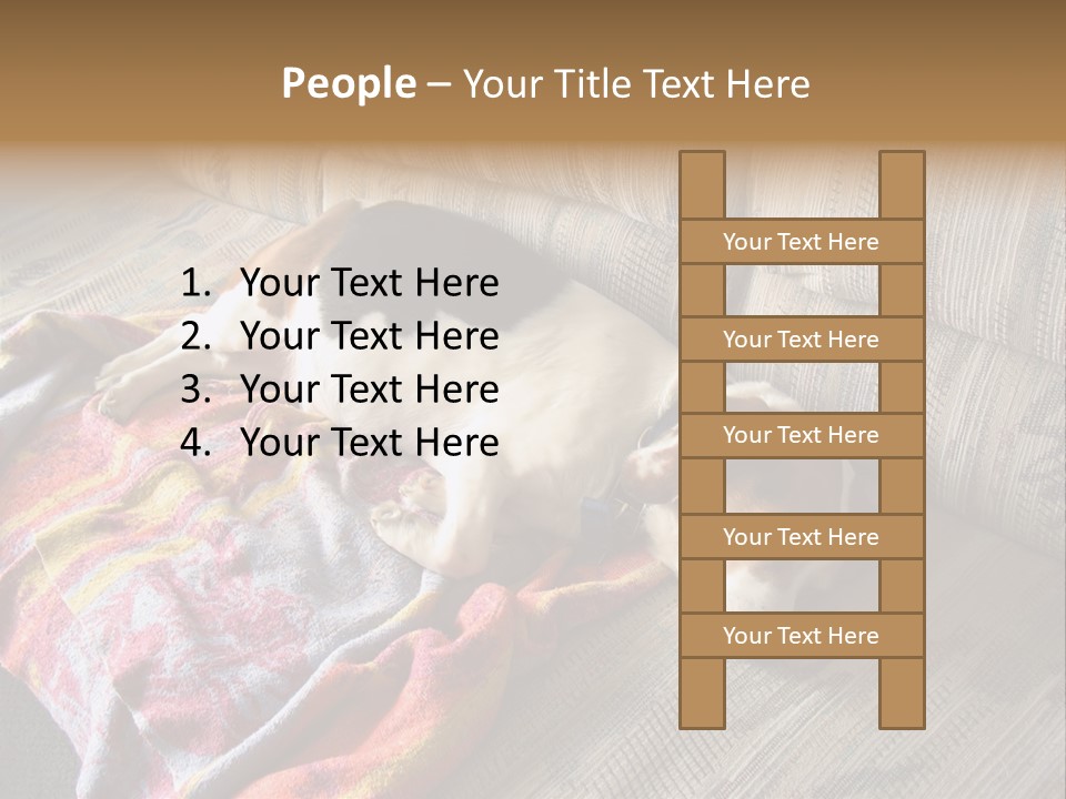 This Naughty Beagle Snuck Onto The Couch And Is Taking A Nap. PowerPoint Template