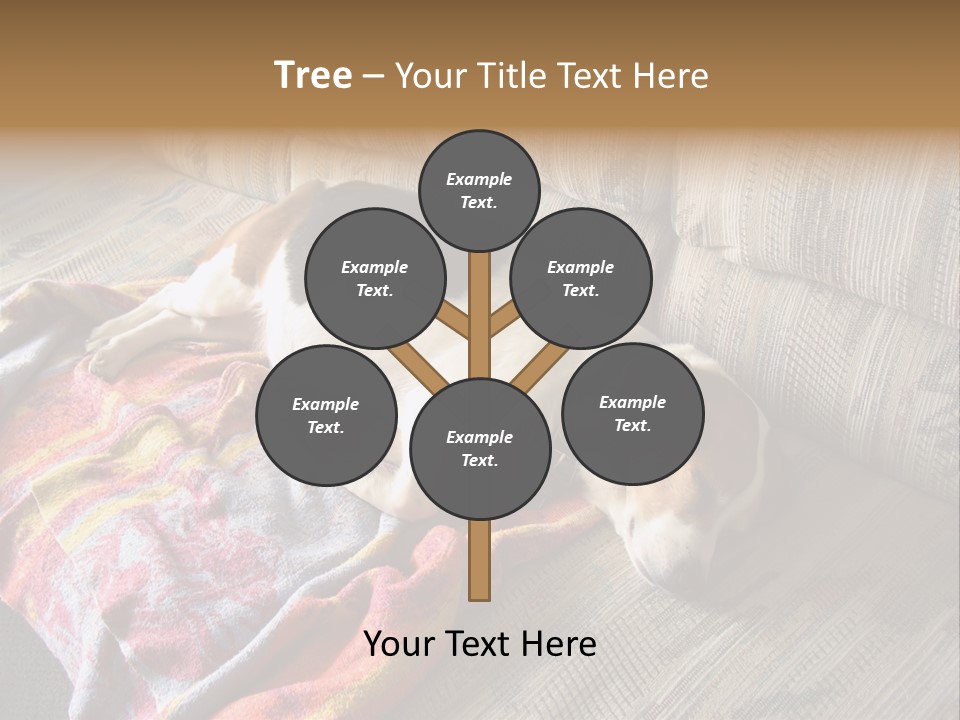 This Naughty Beagle Snuck Onto The Couch And Is Taking A Nap. PowerPoint Template