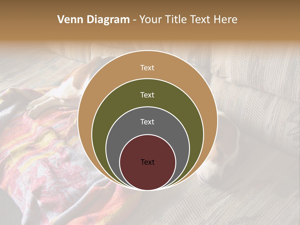 This Naughty Beagle Snuck Onto The Couch And Is Taking A Nap. PowerPoint Template